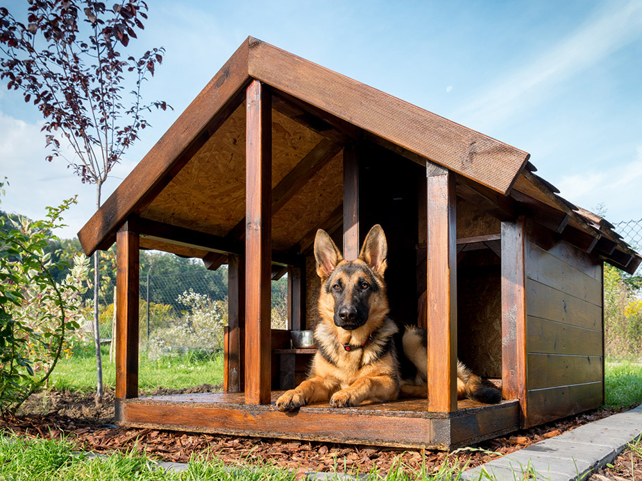 Dog house from the boards