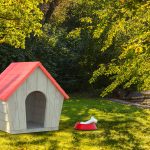 Dog house