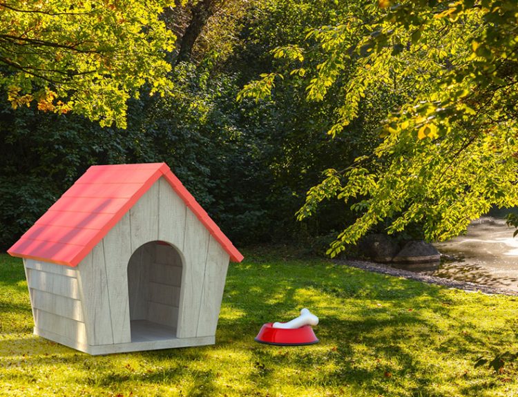 Dog house