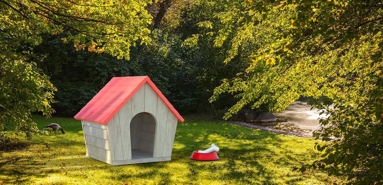 Dog house