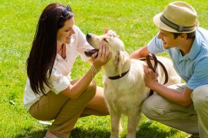 Proper Animal Care and Nutrition